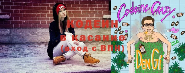 прущая мука Вяземский