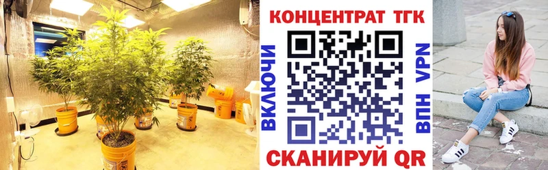 наркошоп Пролетарск hydra онион ТГК THC oil