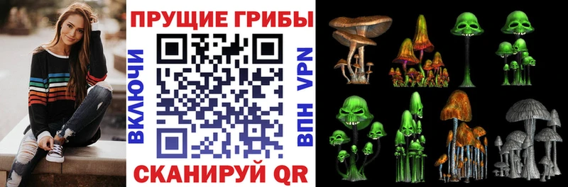 Галлюциногенные грибы GOLDEN TEACHER  мега вход  Пролетарск 